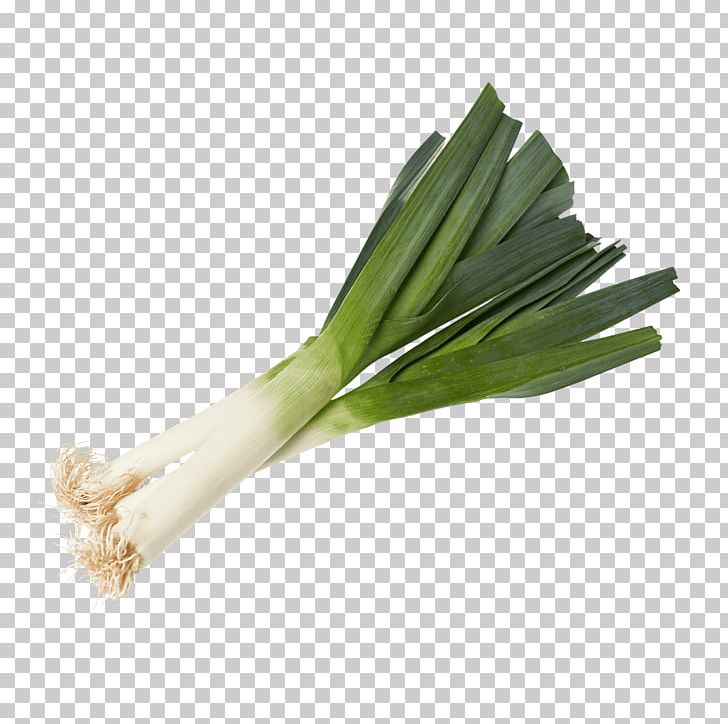 Leek Welsh Onion Aldi Vegetable Product PNG, Clipart, Aldi, Discounts And Allowances, Food, Fruit, Ingredient Free PNG Download