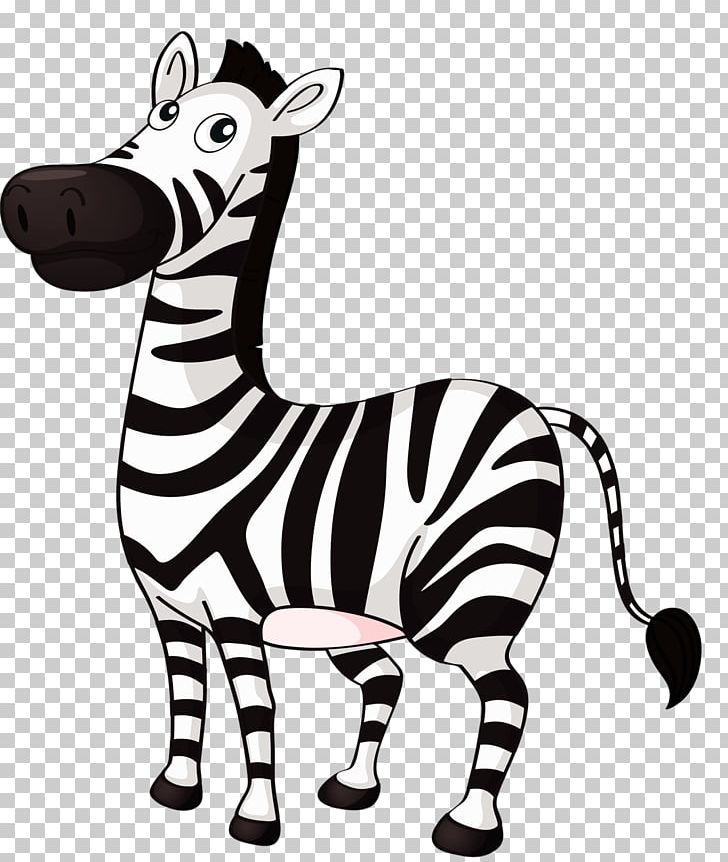 Zebra PNG, Clipart, Animal Figure, Animals, Black And White, Cuteness, Desktop Wallpaper Free PNG Download