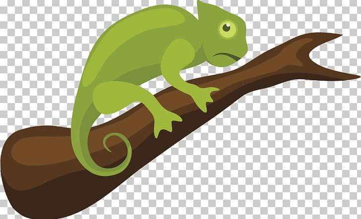 Chameleons Reptile Chameleon PNG, Clipart, Amphibian, Can Stock Photo, Chameleon Chameleon, Chameleons, Drawing Free PNG Download