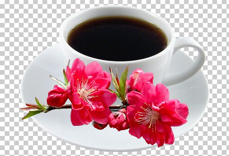 Coffee Cup Teacup PNG, Clipart, Antonio, Coffee, Coffee Cup, Cup, Daytime Free PNG Download