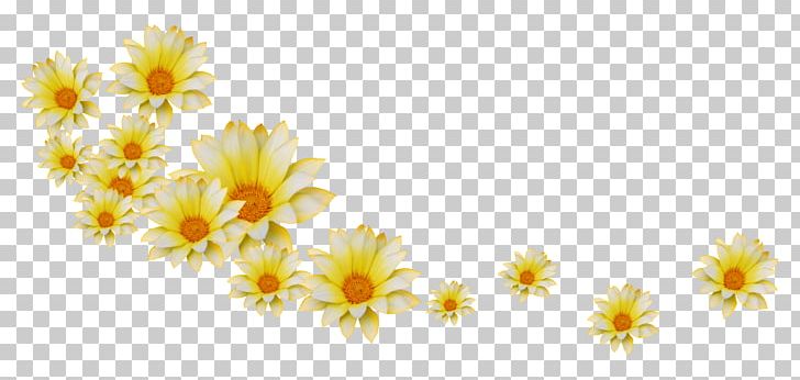 Flower Petal Desktop PNG, Clipart, Branch, Chrysanths, Color, Computer Wallpaper, Daisy Free PNG Download