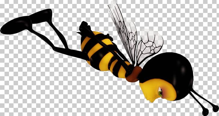 Honey Bee Insect Computer Software PNG, Clipart, Animaatio, Arthropod, Bee, Cartoon, Computer Software Free PNG Download