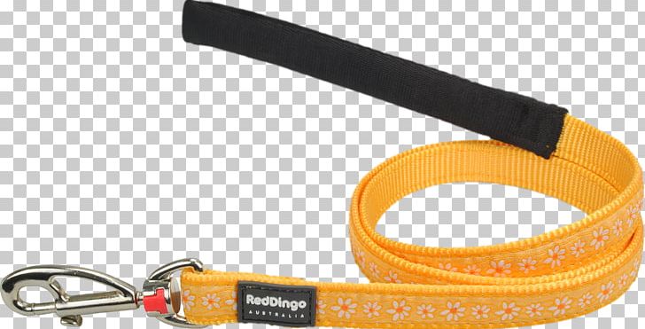 Leash Computer Hardware PNG, Clipart, Art, Computer Hardware, Daisy Chain, Fashion Accessory, Hardware Free PNG Download