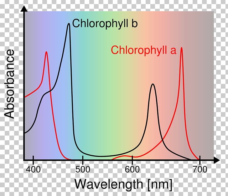 Phenol Red Eagle's Minimal Essential Medium Sulfoxide Ultraviolet–visible Spectroscopy PNG, Clipart,  Free PNG Download