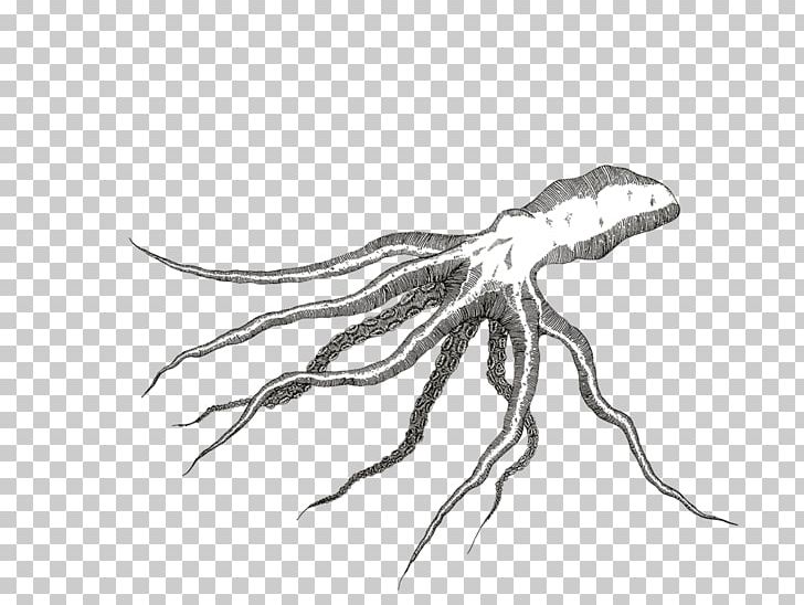 Scorpion Sketch Invertebrate Drawing High-definition Television PNG, Clipart, Artwork, Black, Black And White, Claw, Dimension Free PNG Download