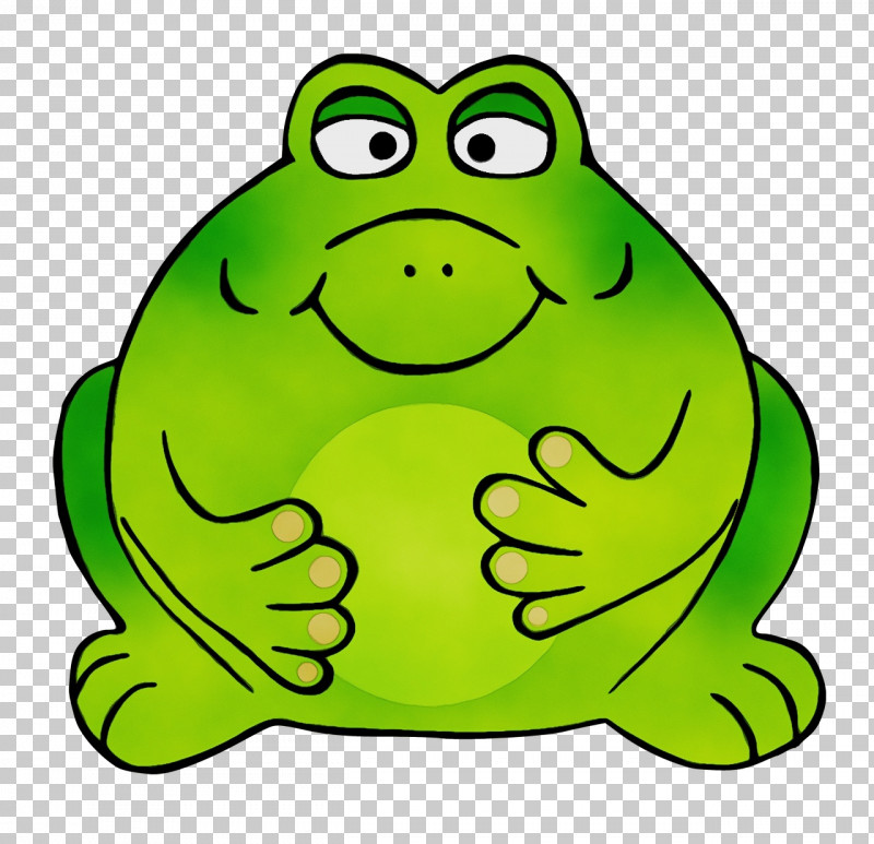 Amphibians Frogs Toad True Frog Cartoon PNG, Clipart, Amphibians, Cartoon, Drawing, Frogs, Green Toad Free PNG Download