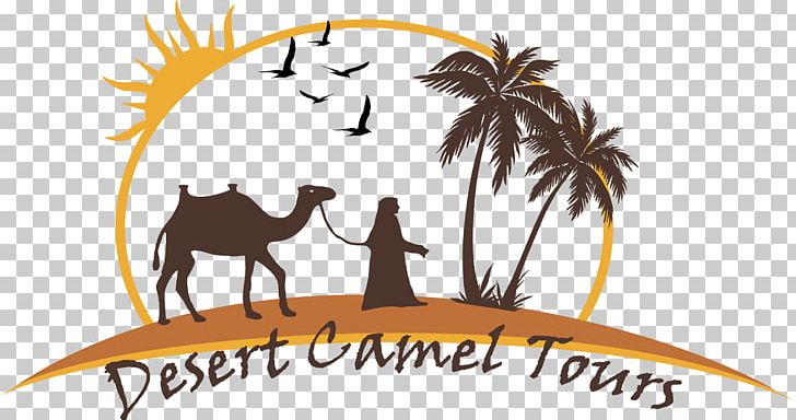 Camel Merzouga Fes Casablanca PNG, Clipart, Animals, Area, Art Car, Artwork, Brand Free PNG Download