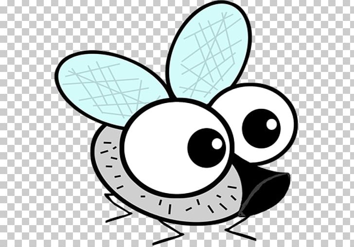 Drawing Cartoon Fly PNG, Clipart, Animation, Area, Art, Artwork, Beak ...