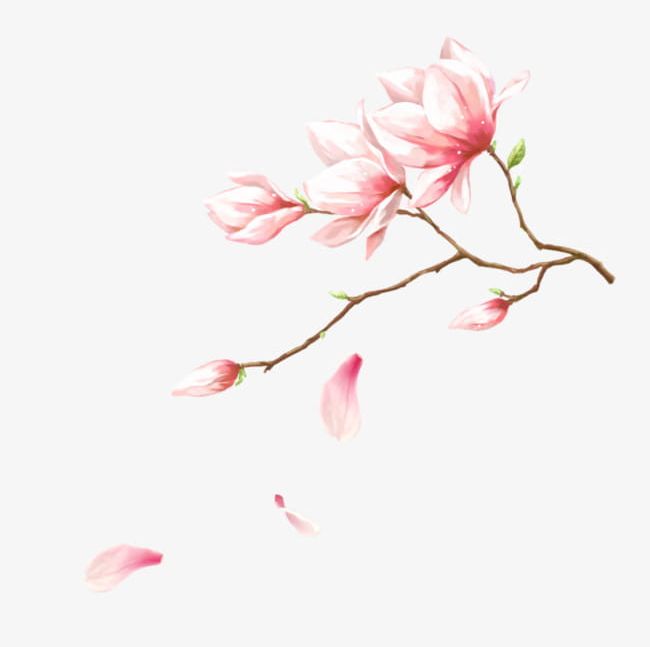 Handmade Magnolia Flowers PNG, Clipart, Background, Bud, Corner, Decoration, Floating Free PNG Download