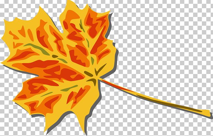 Autumn Leaf Color PNG, Clipart, Autumn, Autumn Leaf Color, Color, Download, Drawing Free PNG Download
