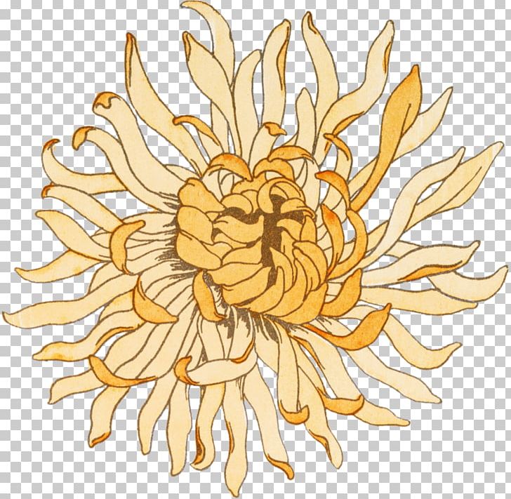 Chrysanthemum Artist Cut Flowers PNG, Clipart, Art, Artist, Chrysanthemum, Chrysanthemum Painting, Chrysanths Free PNG Download