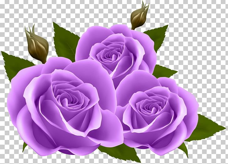 Flower Rose PNG, Clipart, Blue Rose, Clipart, Cut Flowers, Floral Design, Floristry Free PNG Download