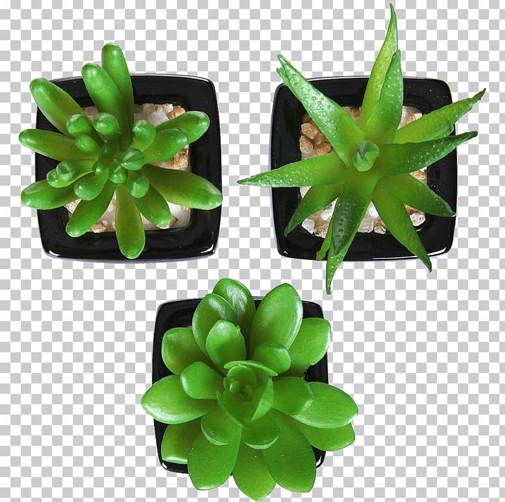 Succulent Plant Artificial Flower Houseplant Flowerpot PNG, Clipart, Artificial Flower, Bathroom, Ceramic, Clay, Decorative Arts Free PNG Download