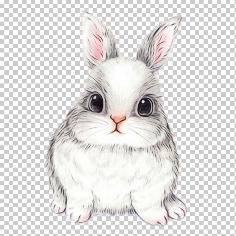 Easter Bunny PNG, Clipart, Easter Bunny, Fur, Paint, Rabbit, Snout Free PNG Download