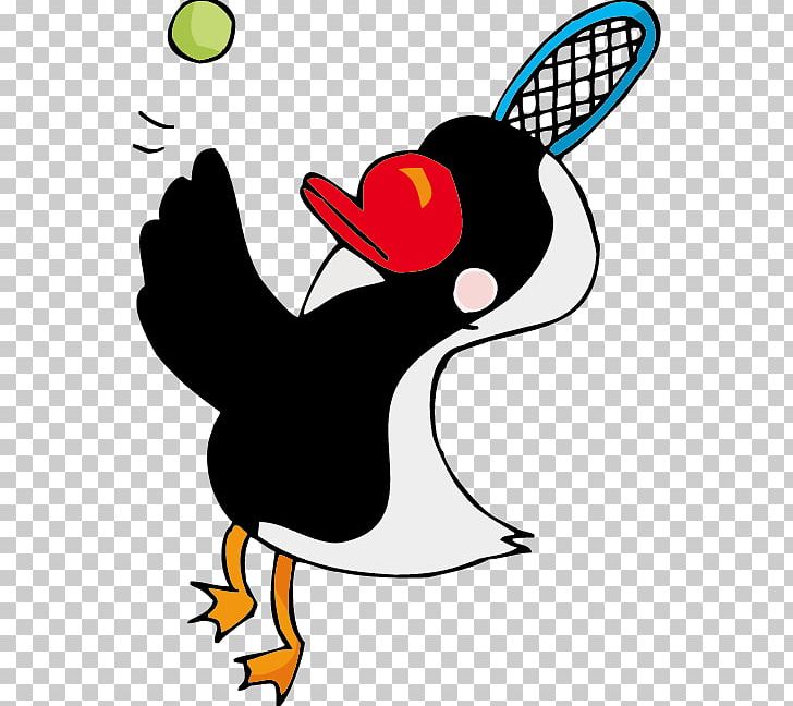 Bird Penguin Tennis Illustration PNG, Clipart, Animal, Art, Beak, Bird, Bird Cage Free PNG Download