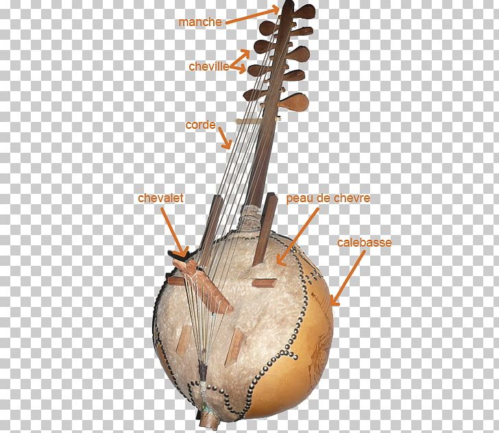 Plucked String Instrument West Africa Ngoni Kora Musical Instruments PNG, Clipart,  Free PNG Download
