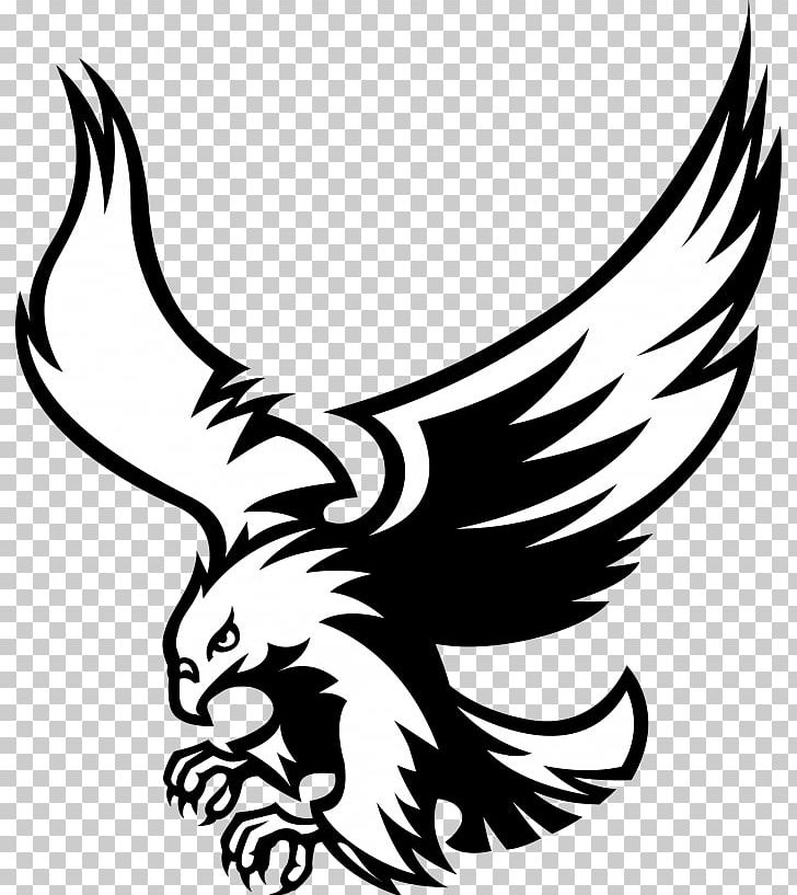 Visual Arts Black Eagle PNG, Clipart, Art, Artwork, Beak, Bird, Bird Of Prey Free PNG Download