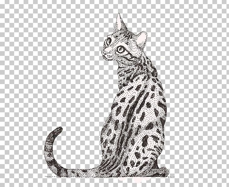 Whiskers Tabby Cat Wildcat Ocelot Ocicat PNG, Clipart, Animal, Animal Figure, Art, Big Cats, Black And White Free PNG Download