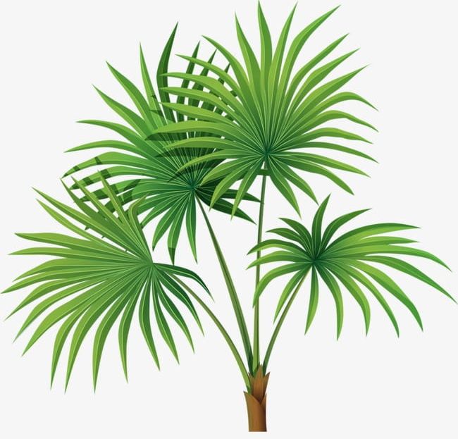 Hand-painted Palm Leaves PNG, Clipart, Green, Green Leaves, Hand, Hand Painted, Hand Painted Clipart Free PNG Download