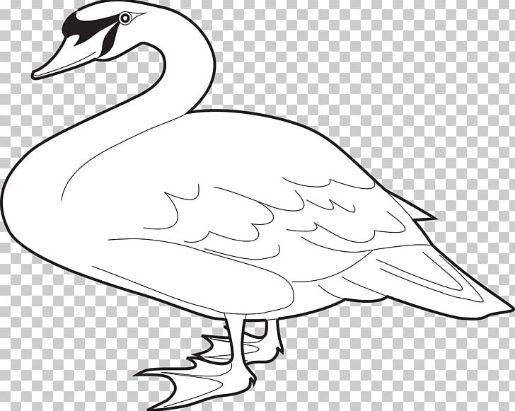 Domestic Goose Cygnini Bird PNG, Clipart, Animal, Animals, Area, Artwork, Black White Free PNG Download