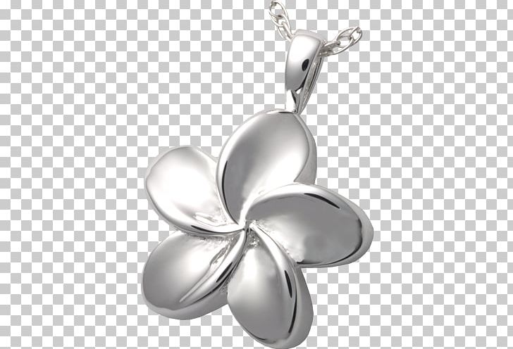 Locket Necklace Silver Charms & Pendants Jewellery PNG, Clipart, Bestattungsurne, Body Jewelry, Chain, Charm Bracelet, Charms Pendants Free PNG Download