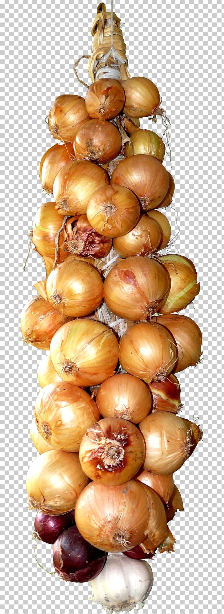 Onion Garlic Vegetable PNG, Clipart, Allium, Allium Scorodoprasum, Encapsulated Postscript, Finger Food, Food Free PNG Download
