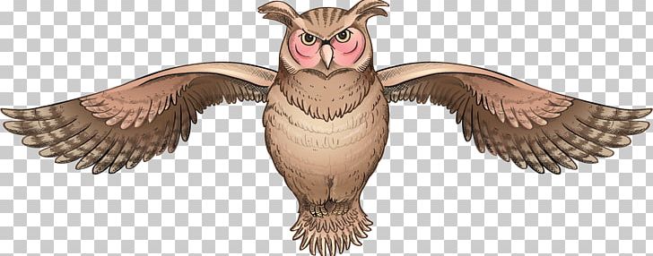 Bird Of Prey Owl PNG, Clipart, Animal, Animal Figure, Animals, Beak, Bird Free PNG Download