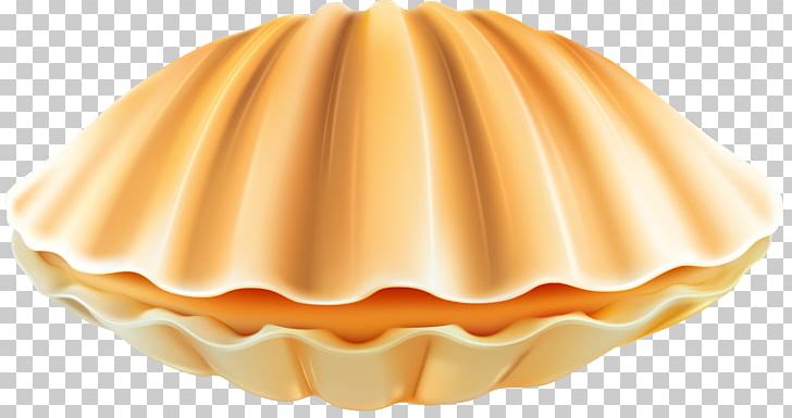 Clam Portable Network Graphics Seashell PNG, Clipart, Bivalve Shell, Bivalvia, Clam, Clamshell, Desktop Wallpaper Free PNG Download