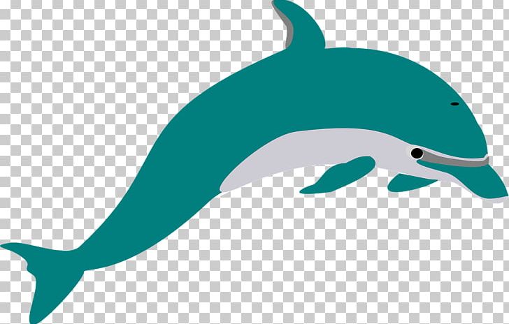 Common Bottlenose Dolphin Wholphin Tucuxi Spinner Dolphin PNG, Clipart, Animals, Bottlenose Dolphin, Cetacea, Common Bottlenose Dolphin, Fauna Free PNG Download