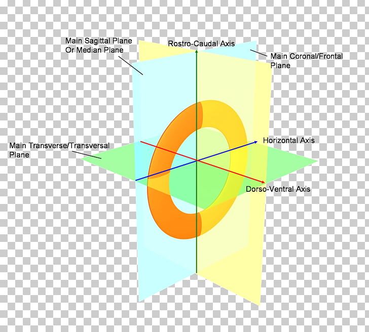 Diagram Line Angle PNG, Clipart, Angle, Area, Art, Circle, Diagram Free PNG Download