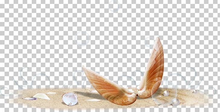 Sand Sea PNG, Clipart, Beach, Beach Elements, Blog, Cartoon Conch, Clip Art Free PNG Download