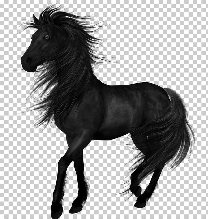 Stallion Arabian Horse Akhal-Teke Friesian Horse Mare PNG, Clipart, Akhalteke, Arabian Horse, Black, Black And White, Bridle Free PNG Download