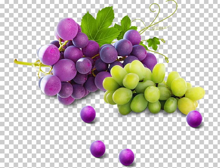 Grape Fruit Orange PNG, Clipart, Black Grapes, Download, Euclidean Vector, Food, Fruit Free PNG Download