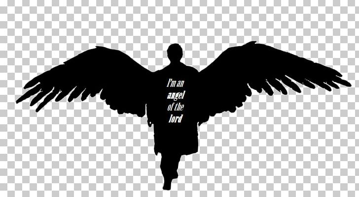 Castiel Dean Winchester Sam Winchester Crowley Angel PNG, Clipart, Angel, Angel Of The Lord, Baby, Baby Angel, Beak Free PNG Download