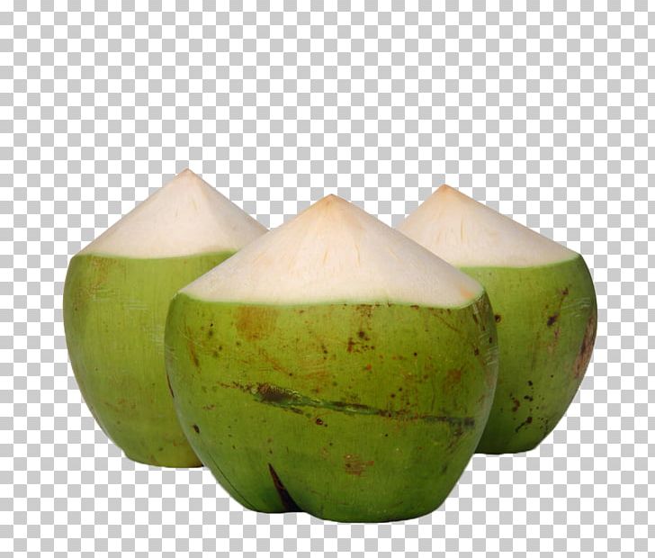Nata De Coco Coconut Water Fruit PNG, Clipart, Background Green, Coconut, Coconut Pulp, Coconut Tree, Coconut Water Free PNG Download