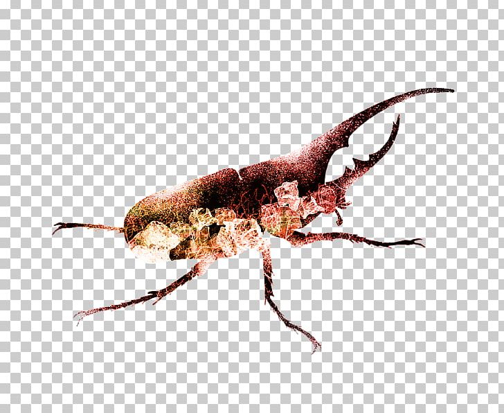 Painting Fine Art Beetle PNG, Clipart, Abstract, Art, Arthropod, Beetle, Decorative Arts Free PNG Download