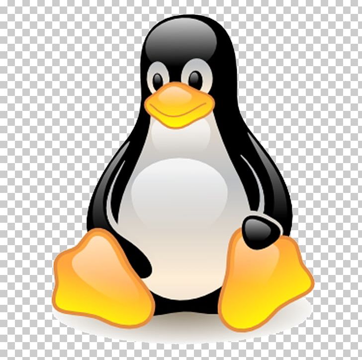 Web Browser JavaScript PNG, Clipart, Beak, Bird, Computer Icons, D3js, Encapsulated Postscript Free PNG Download