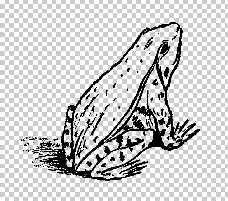 Cat Frog Black And White PNG, Clipart, Animals, Area, Art, Black, Carnivoran Free PNG Download