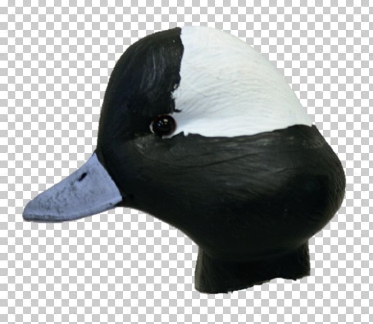 Duck Decoy Duck Decoy GoldenEye 007 Canvasback PNG, Clipart, American Black Duck, Anseriformes, Beak, Canvasback, Canvasback Duck Free PNG Download