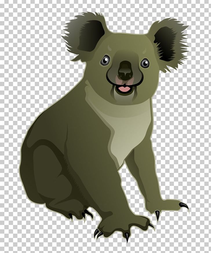 Koala Bear PNG, Clipart, Albom, Bear, Carnivoran, Com, Cuteness Free PNG Download
