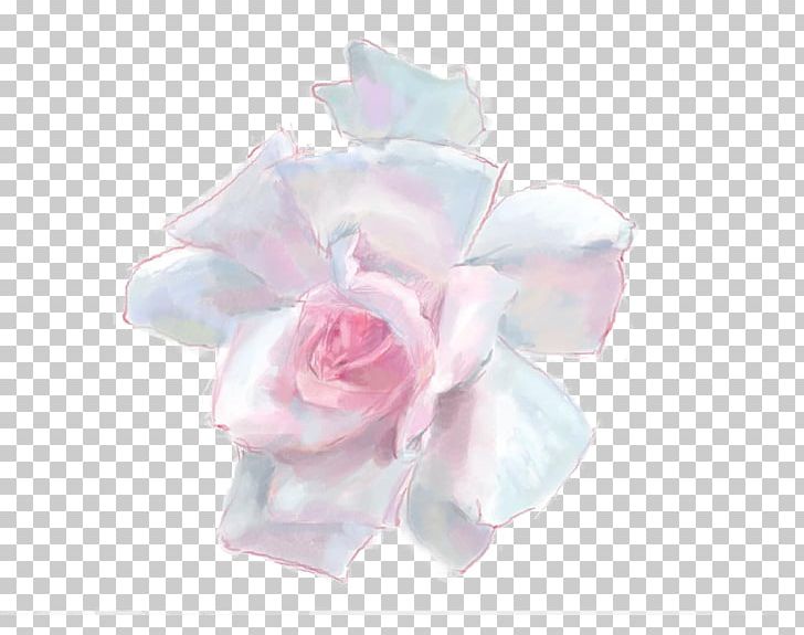Rosa Chinensis Garden Roses Centifolia Roses Pink PNG, Clipart, Cut Flowers, Encapsulated Postscript, Floral Design, Flower, Flowering Plant Free PNG Download