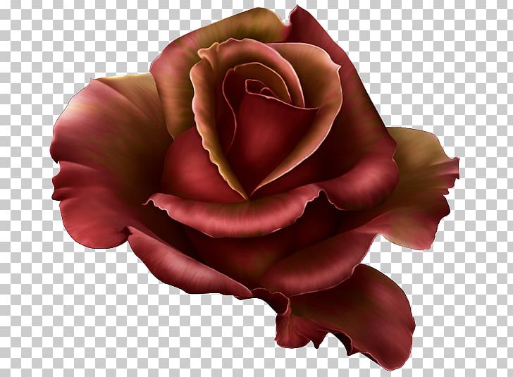 Rose Cdr PNG, Clipart, Autocad Dxf, Computer Wallpaper, Cut Flowers, Dark, Dark Red Free PNG Download