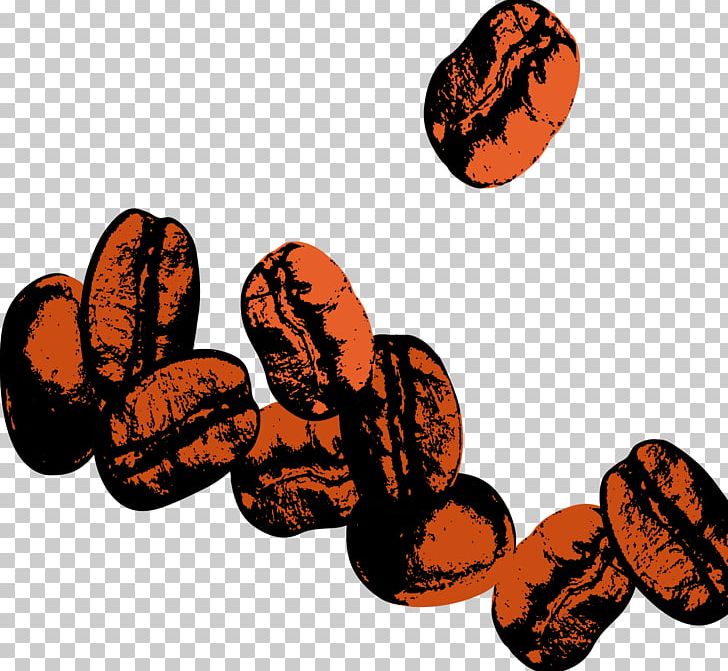 Coffee Bean PNG, Clipart, Bean, Beans, Beans Vector, Coffea, Coffee Free PNG Download