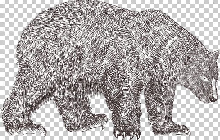 Polar Bear Decal Illustration PNG, Clipart, Animal, Animals, Asian Black Bear, Bear, Bear Vector Free PNG Download