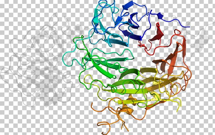 Factor VIII Haemophilia A Coagulation Recombinant DNA Factor XIII PNG, Clipart, Area, Art, Artwork, Coagulation, Context Free PNG Download
