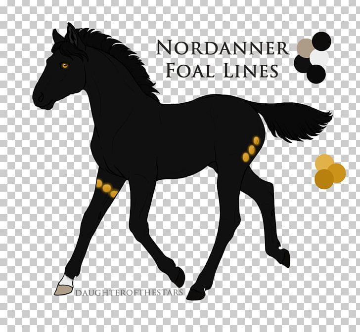 Mustang Foal Stallion Colt Mare PNG, Clipart, Art, Colt, Equestrian, Foal, Halter Free PNG Download