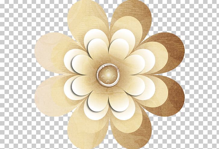 Petal Cut Flowers PNG, Clipart, Beige, Blooss Coffee, Cut Flowers, Flower, Others Free PNG Download