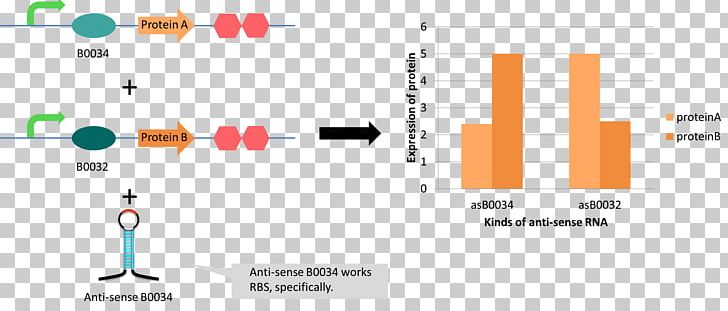 Antisense RNA Gene Silencing International Genetically Engineered Machine PNG, Clipart, Angle, Antisense Rna, Diagram, Document, Gene Free PNG Download