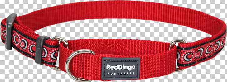 Dingo Dog Collar Martingale Modified Condition/decision Coverage PNG, Clipart, Belt, Collar, Color, Daisy Chain, Dingo Free PNG Download