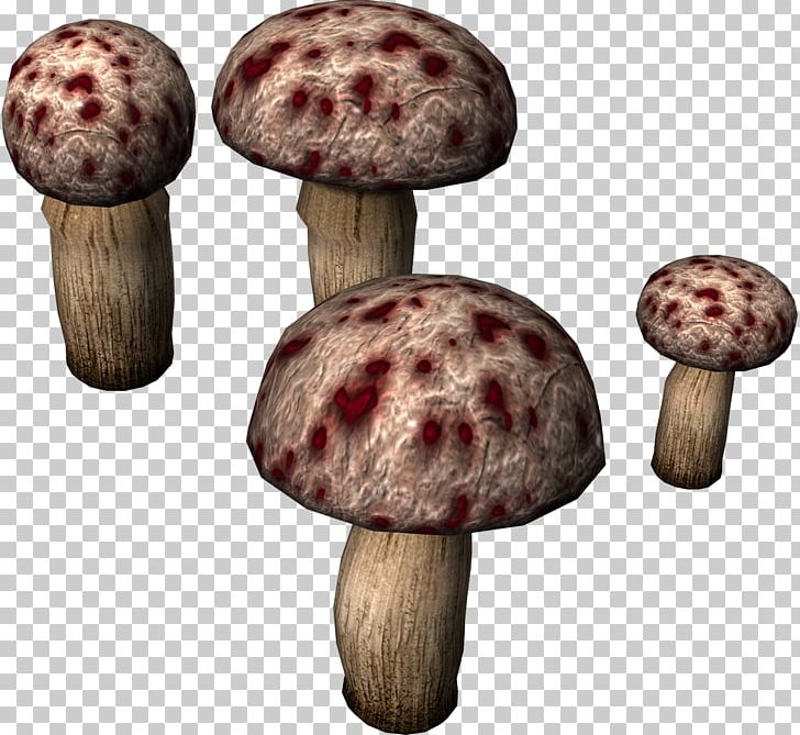 Mushroom Toad Computer Icons PNG, Clipart, Common Mushroom, Desktop Wallpaper, Drawing, Edible Mushroom, Fungus Free PNG Download